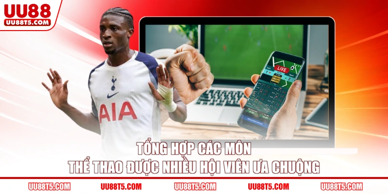 Tổng hợp các môn thể thao được nhiều hội viên ưa chuộng